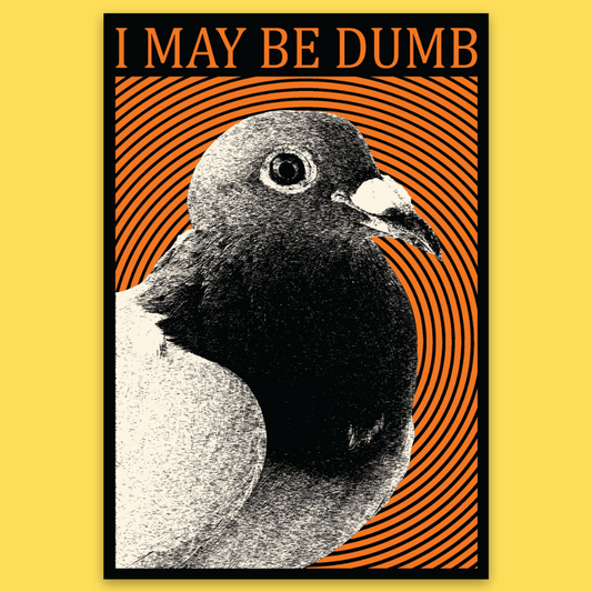 Vinyl sticker featuring a pigeon with bold orange striped background and text 'I MAY BE DUMB' in humorous design.