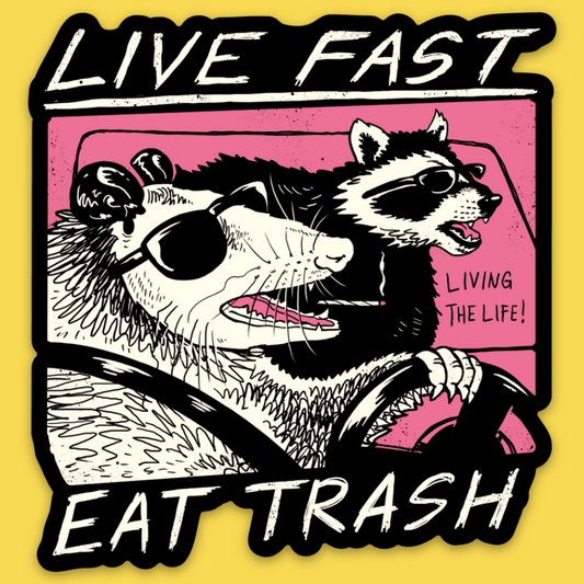 Vinyl sticker featuring cartoon raccoon and opossum with sunglasses on pink background, text 'Live Fast Eat Trash' and