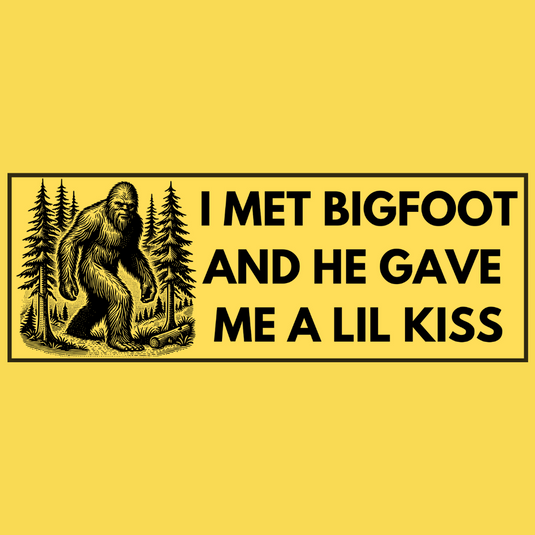 Bumper Magnets