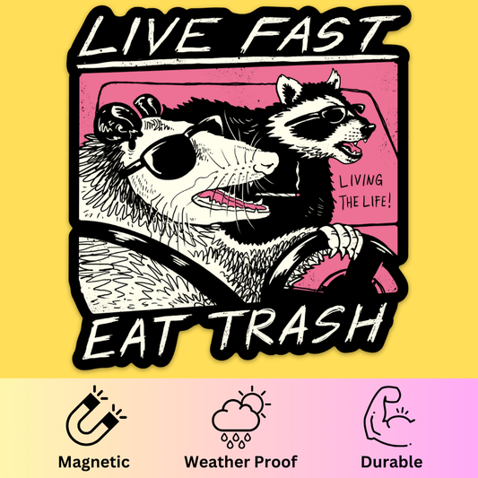 Bumper magnet featuring illustrated raccoons in sunglasses with text 'Live Fast Eat Trash' on yellow background
