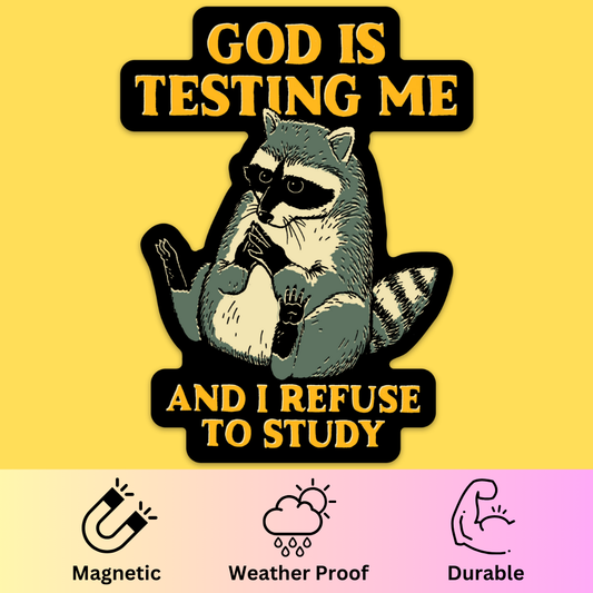 Bumper magnet featuring a smirking raccoon with 'God Is Testing Me' and 'And I Refuse To Study' text on yellow background.