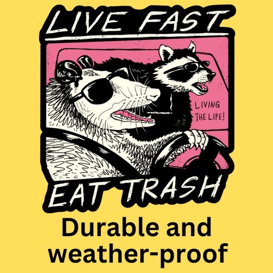 Vinyl sticker featuring cartoon raccoons in sunglasses driving with text 'Live Fast Eat Trash' on yellow background. Durable