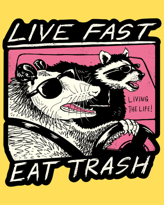 Vinyl sticker featuring an opossum and raccoon in sunglasses joyriding a car with Live Fast Eat Trash text, punk comic style