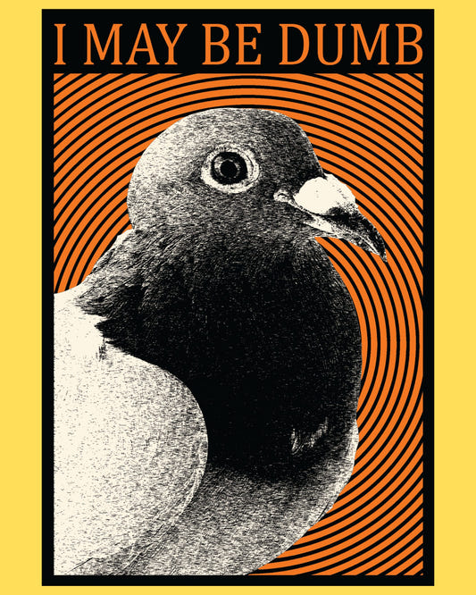Vinyl sticker featuring a pigeon portrait over hypnotic orange rings with 'I may be dumb', retro psychedelic poster style