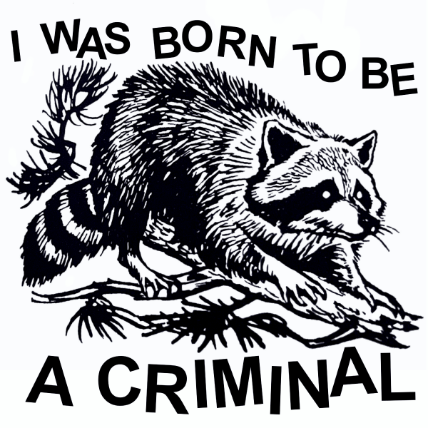 Black graphic tee with bold line art raccoon on branch and text 'I Was Born to Be a Criminal'